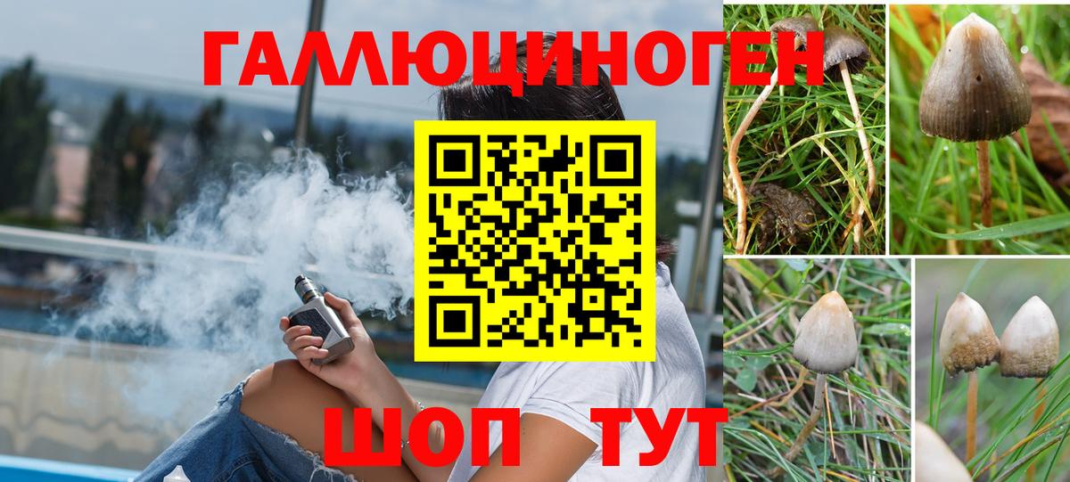 Санкт-Петербург  Галлюциногенные грибы ЛСД  Вход с VPN 